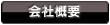 ЊTv